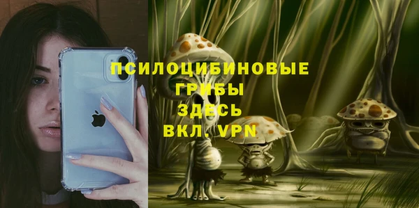 Альфа ПВП Балахна